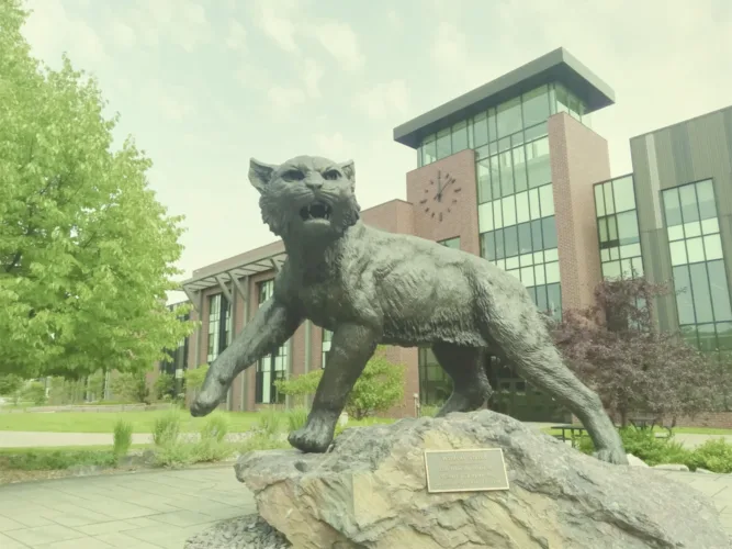 NMU approves budget, closes $8M deficit